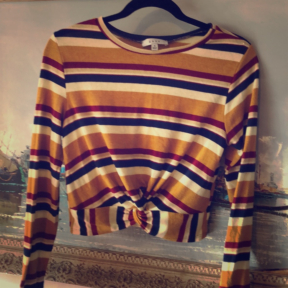 Long sleeve fall crop top